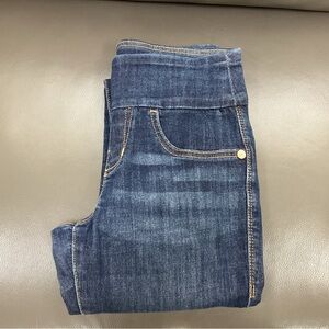 Rock & Republic Blue Jeggings with Medium-to-Dark Wash